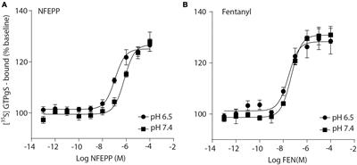 Modulation of G-protein activation, calcium currents and opioid receptor phosphorylation by the pH-dependent antinociceptive agonist NFEPP